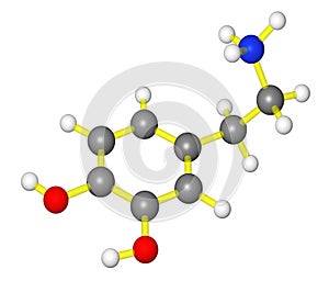 Molecular model of dopamine