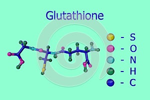 Molecular model of glutathione, isolated on light blue background. Glutathione is an antioxidant in plants, animals photo