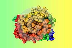 Molecular model of human anaplastic lymphoma kinase (ALK) in complex with inhibitor crizotinib. Rendering based on
