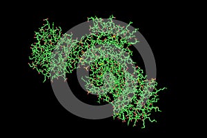 Molecular model of human fibroblast growth factor 18 (FGF18) isolated on black background. Rendering based on