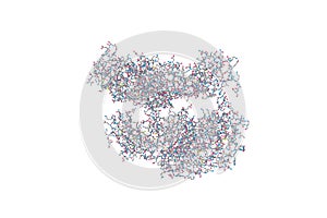 Molecular model of human interleukin-18 (IL-18) receptor complex. Rendering based on protein data bank entry 4r6u
