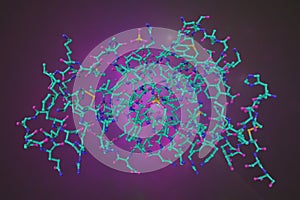 Molecular model of human interleukin-4, a cytokine that functions as a potent regulator of immunity secreted primarly by