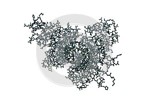 Molecular model of human interleukin-5 (IL-5) in complex with its receptor isolated on white background. 3d illustration