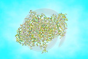 Molecular model of human salivary amylase, a glucose-polymer cleavage enzyme that produced by the salivary glands