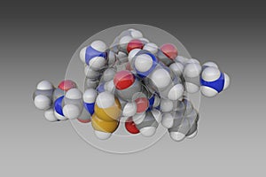 Molecular model of human somatostatin-14. Atoms are shown as spheres with conventional color coding: carbon (grey photo