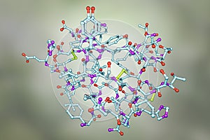 Molecular model of insulin hormone