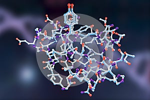 Molecular model of insulin molecule