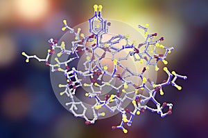 Molecular model of insulin molecule