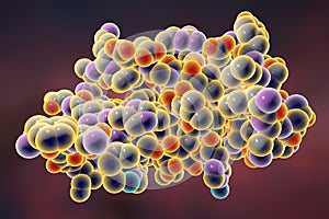 Molecular model of insulin molecule