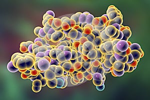 Molecular model of insulin molecule