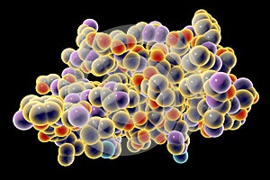 Molecular model of insulin molecule