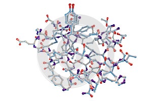 Molecular model of insulin molecule
