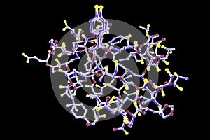 Molecular model of insulin molecule
