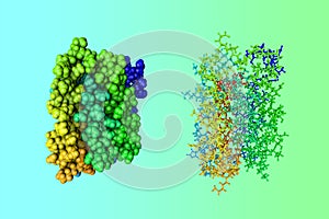 Molecular model of interferon alpha-2A, a recombinant interferon with antiviral and antitumor properties. Rendering