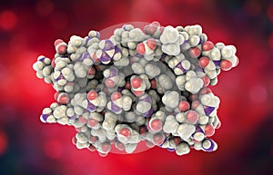 Molecular model of interferon-alpha