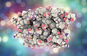 Molecular model of interferon-alpha