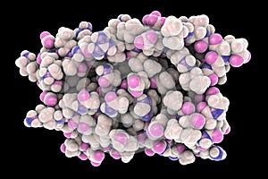 Molecular model of interferon-alpha