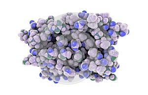 Molecular model of interferon-alpha