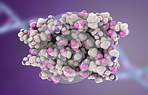 Molecular model of interferon-alpha photo