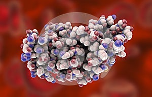 Molecular model of interferon-gamma photo