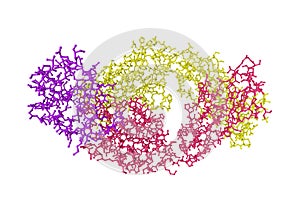 Molecular model of interleukin-16 bound to the 14.1 antibody isolated on white background. Rendering with differently