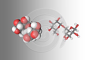 Molecular model of isomaltose. Atoms are represented as spheres with conventional color coding: carbon grey, oxygen