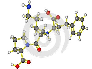 Molecular model of lisinopril