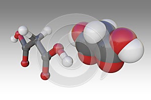 Molecular model of malonic or propanedioic acid. Atoms are represented as spheres with color coding: carbon grey photo