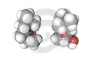Molecular model of muscarine. Atoms are represented as spheres with conventional color coding: hydrogen white, carbon