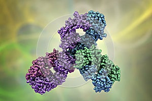 Molecular model of Pembrolizumab