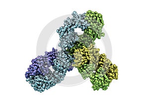 Molecular model of Pembrolizumab photo