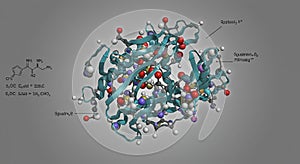 Molecular model showcasing a complex protein structure with spiral and strand