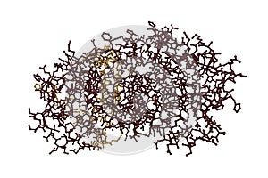 Molecular model of thyroxine binding globulin isolated on white background. Rendering with differently colored protein