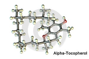 Molecular model of vitamin E, alpha-tocopherol