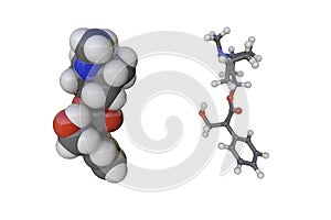 Molecular models of atropine. Atoms are shown as spheres with conventional color coding photo