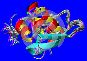 Molecular models of proteins as ribbons