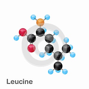Molecular omposition and structure of Leucine, Leu, best for books and education