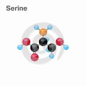 Molecular omposition and structure of Serine, Ser, best for books and education photo