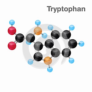 Molecular omposition and structure of Tryptophan, Trp, best for books and education