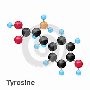 Molecular omposition and structure of Tyrosine, Tyr, best for books and education