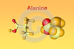 Molecular structure of alanine, an amino acid used in the biosynthesis of proteins. Scientific background. 3d