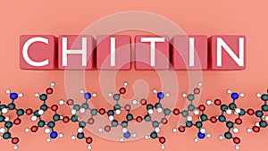The molecular structure of Chitin and the word 