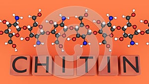 The molecular structure of Chitin and the word 