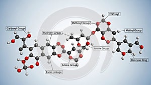 Linkages like Ester Linkage and structural components like Benzene