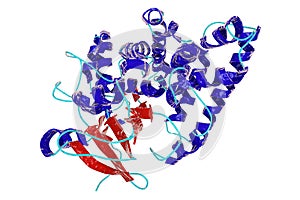 Molecular structure of enzyme nitric oxide reductase