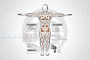 Molecular structure of human body