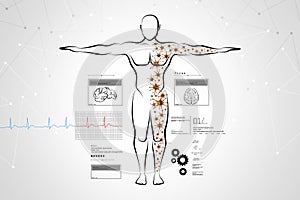 Molecular structure of human body