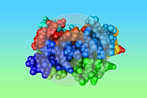 Molecular structure of human interleukin-6, pro-inflammatory cytokine and anti-inflammatory myokine. Rendering based on photo