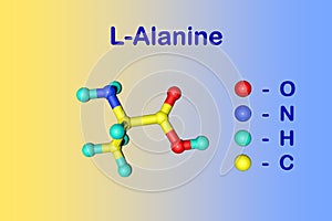Molecular structure of l-alanine, an amino acid used in the biosynthesis of proteins. Medical background. Scientific