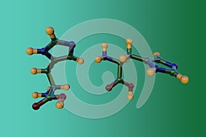 Molecular structure of l-histidine or histidine, an essential amino acid in human. It is used in the biosynthesis of